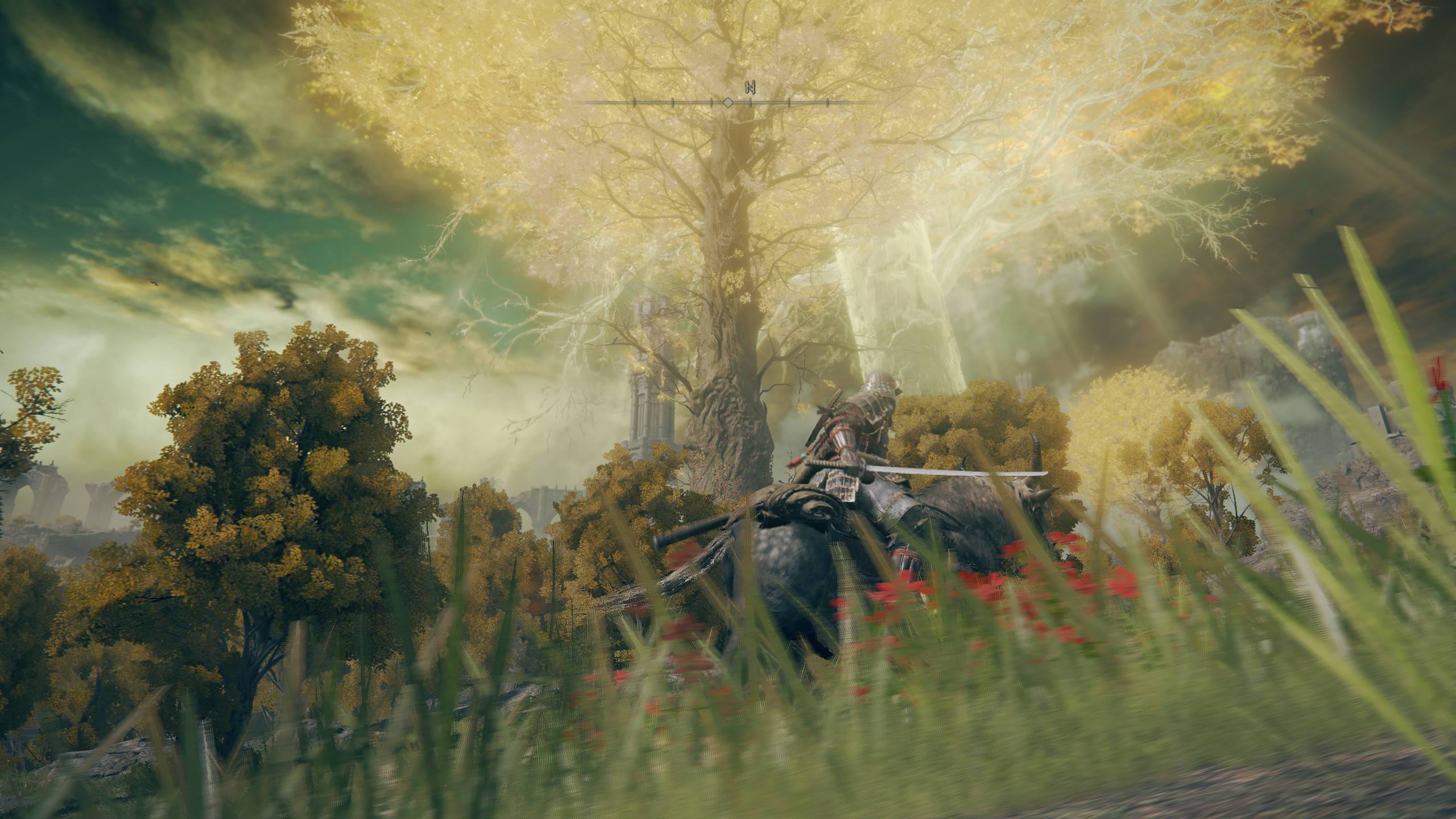 Elden Ring: elämää elämänpuun alla