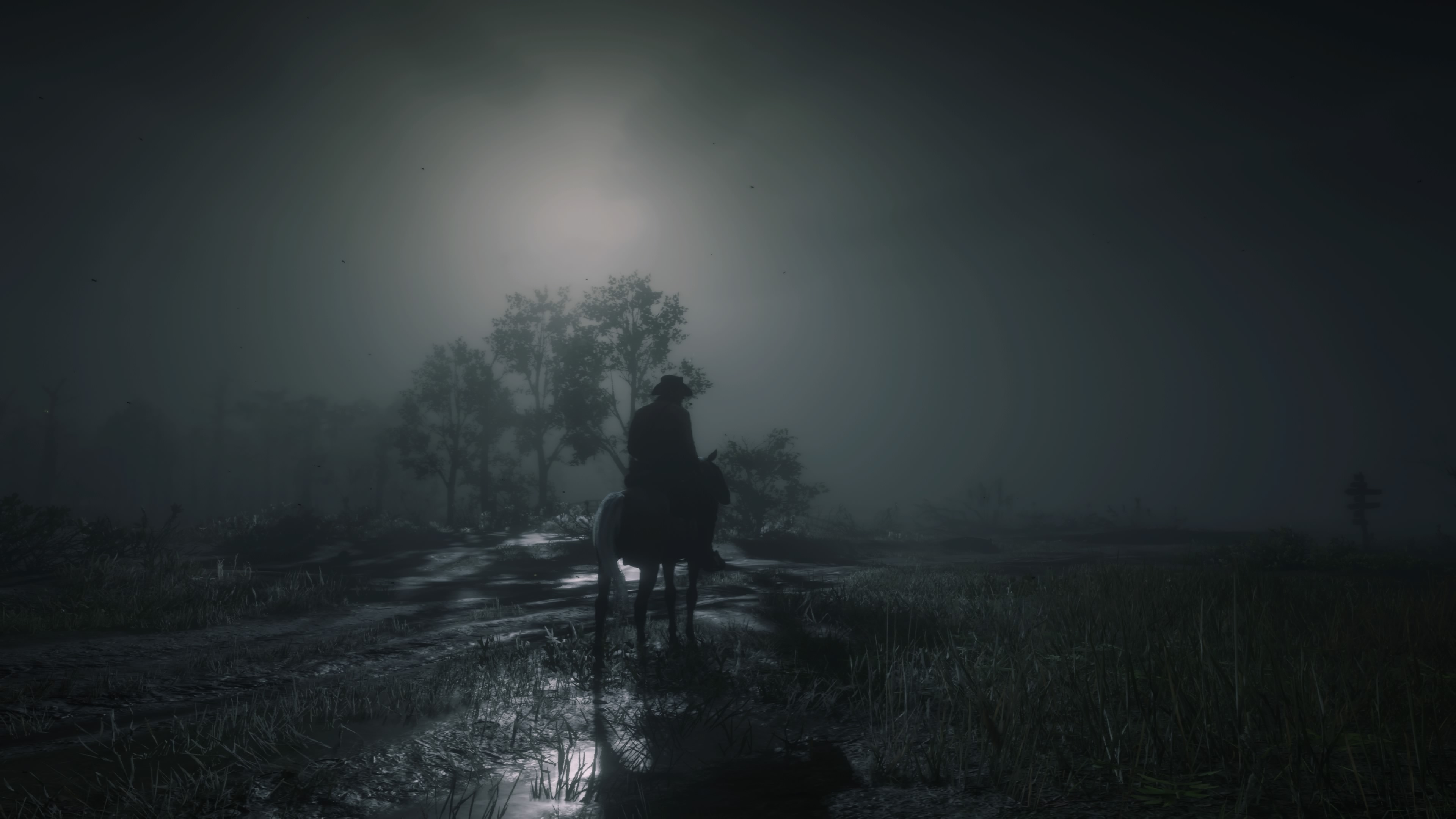 Red Dead Redemption 2 - Arthur suolla kuunvalossa