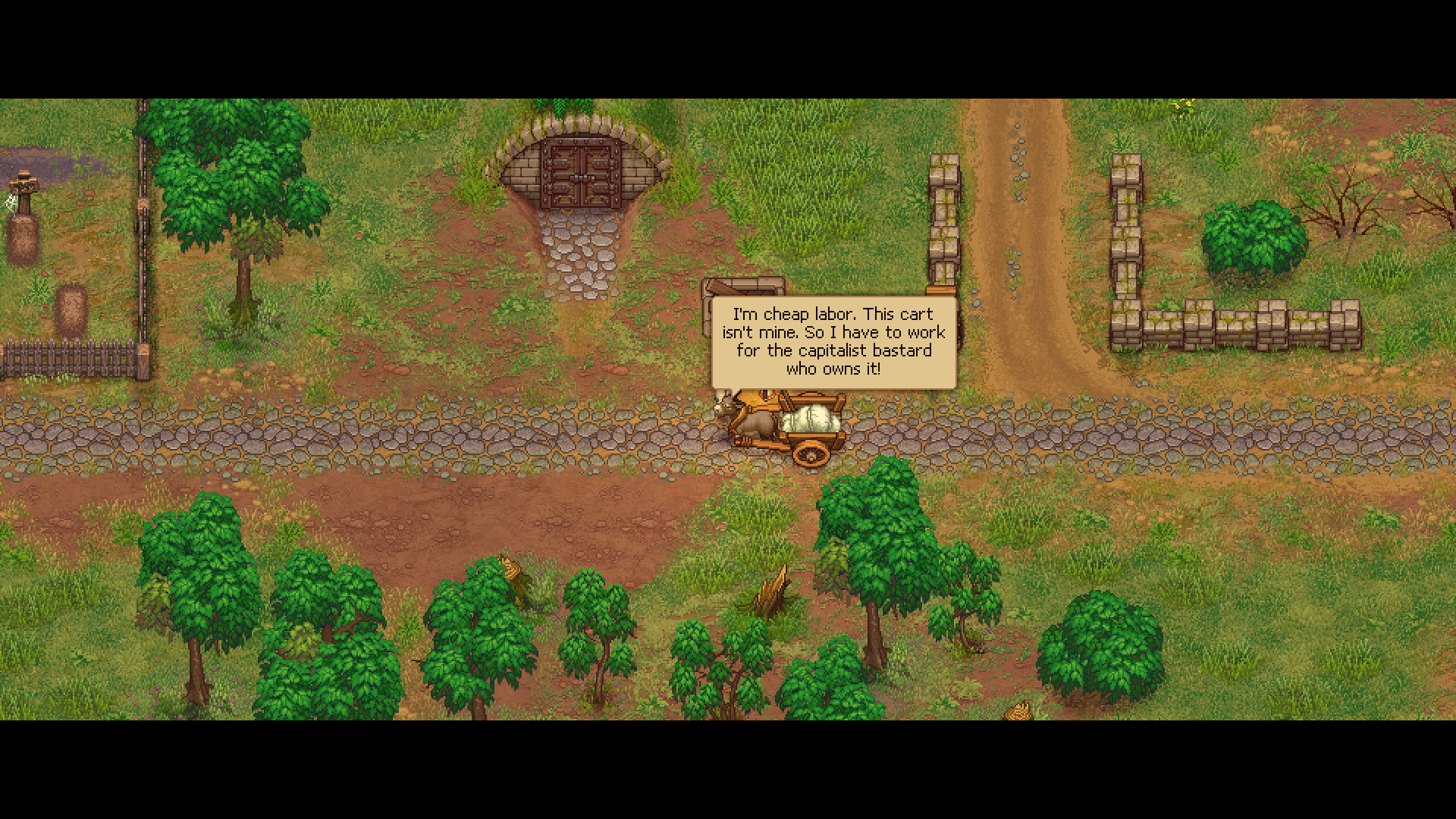 Graveyard Keeper: Aasi