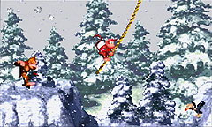 Donkey Kong Country