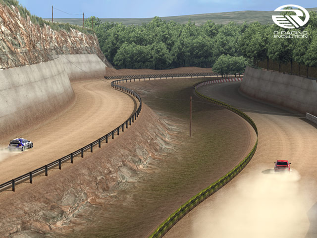 R: Racing Evolution kultaan