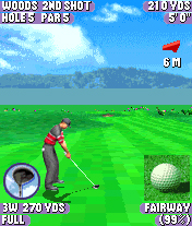 Tiger Woods PGA Tour 2004