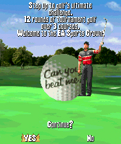 Tiger Woods PGA Tour 2004