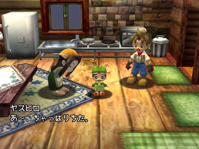 Harvest Moon: A Wonderful Life