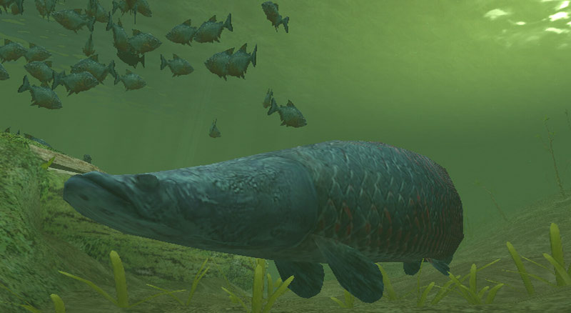 Wiin tulevat pelit videoesittelyssä