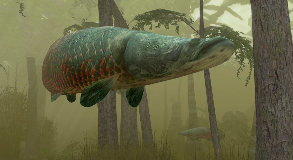 Endless Ocean 2 tukee Wii Speakia