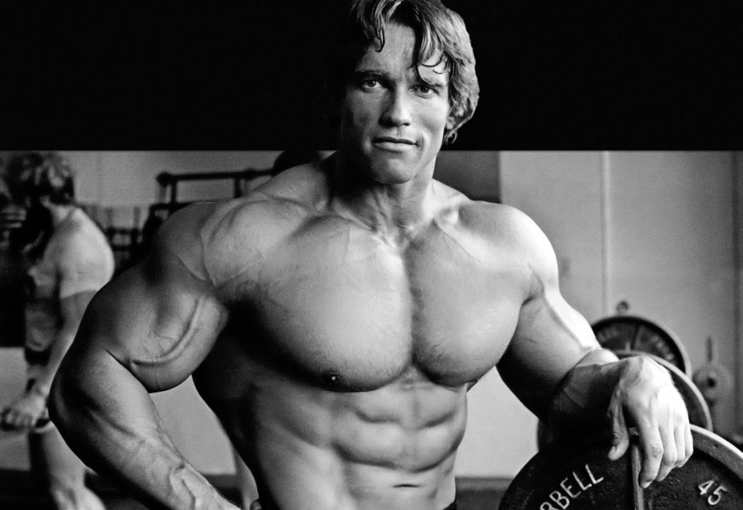 Terminator marssii WWE-painikehään
