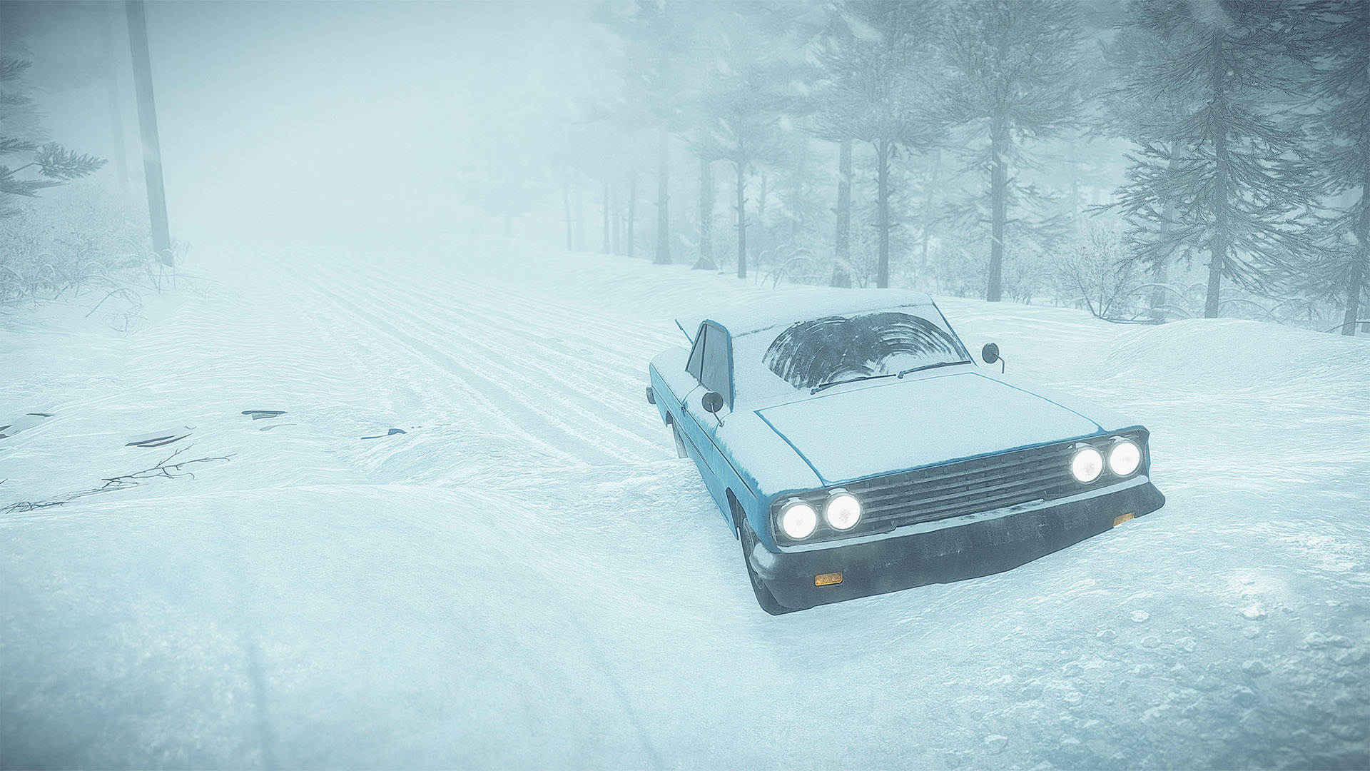 kona auto 2.jpg