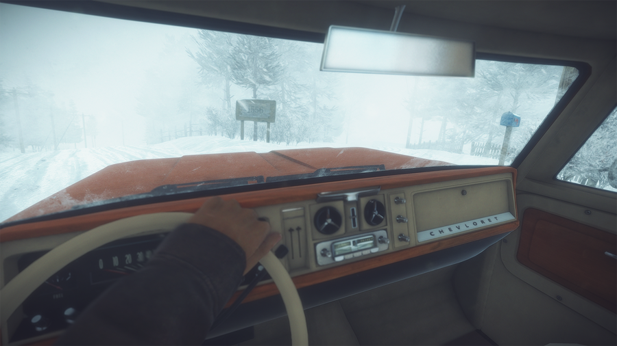 kona auto.png