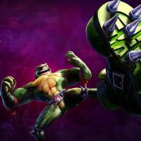 battletoads_mono.jpg
